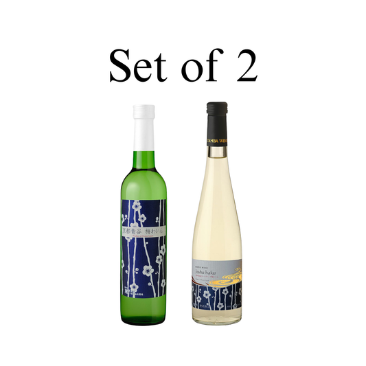 SET of 2 - TAMBA Plum wine set